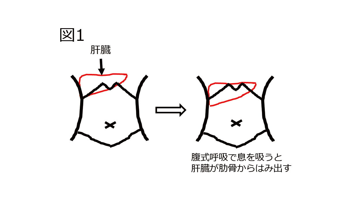 アルコール性肝障害 | 剤盛堂薬品株式会社